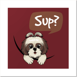 Shih Tzu (Sup?) Posters and Art